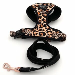 Sassy Woof Sass Gone Wild Leopard Print Harness Bundle Size XS